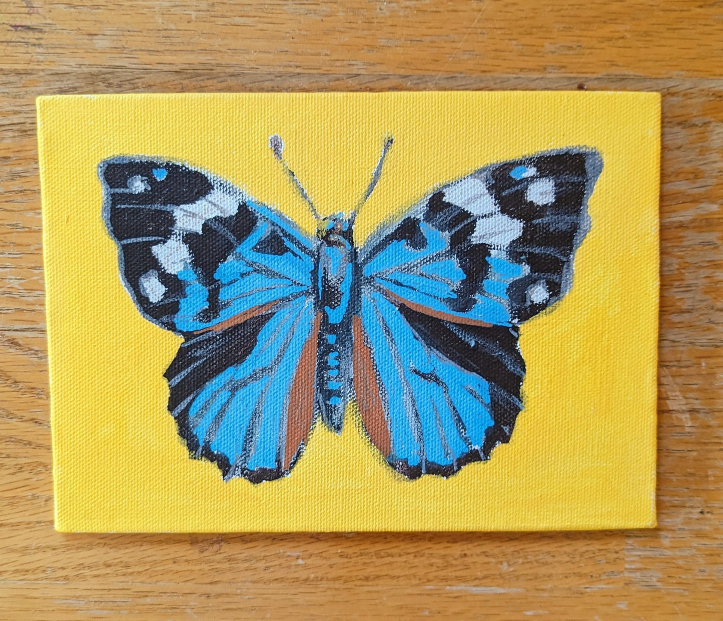 Original Acrylic Butterfly Painting