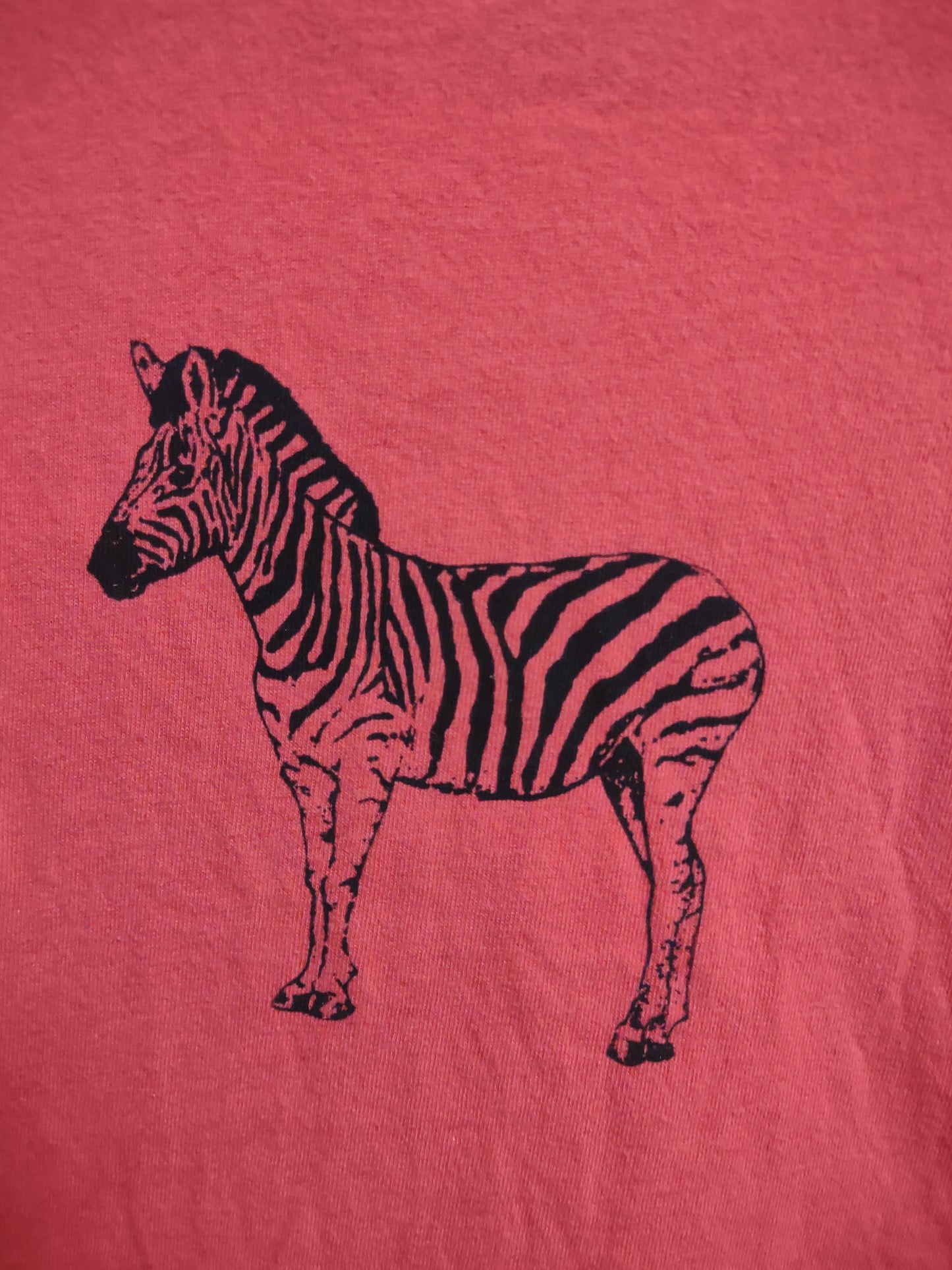 Children's medium zebra shirt