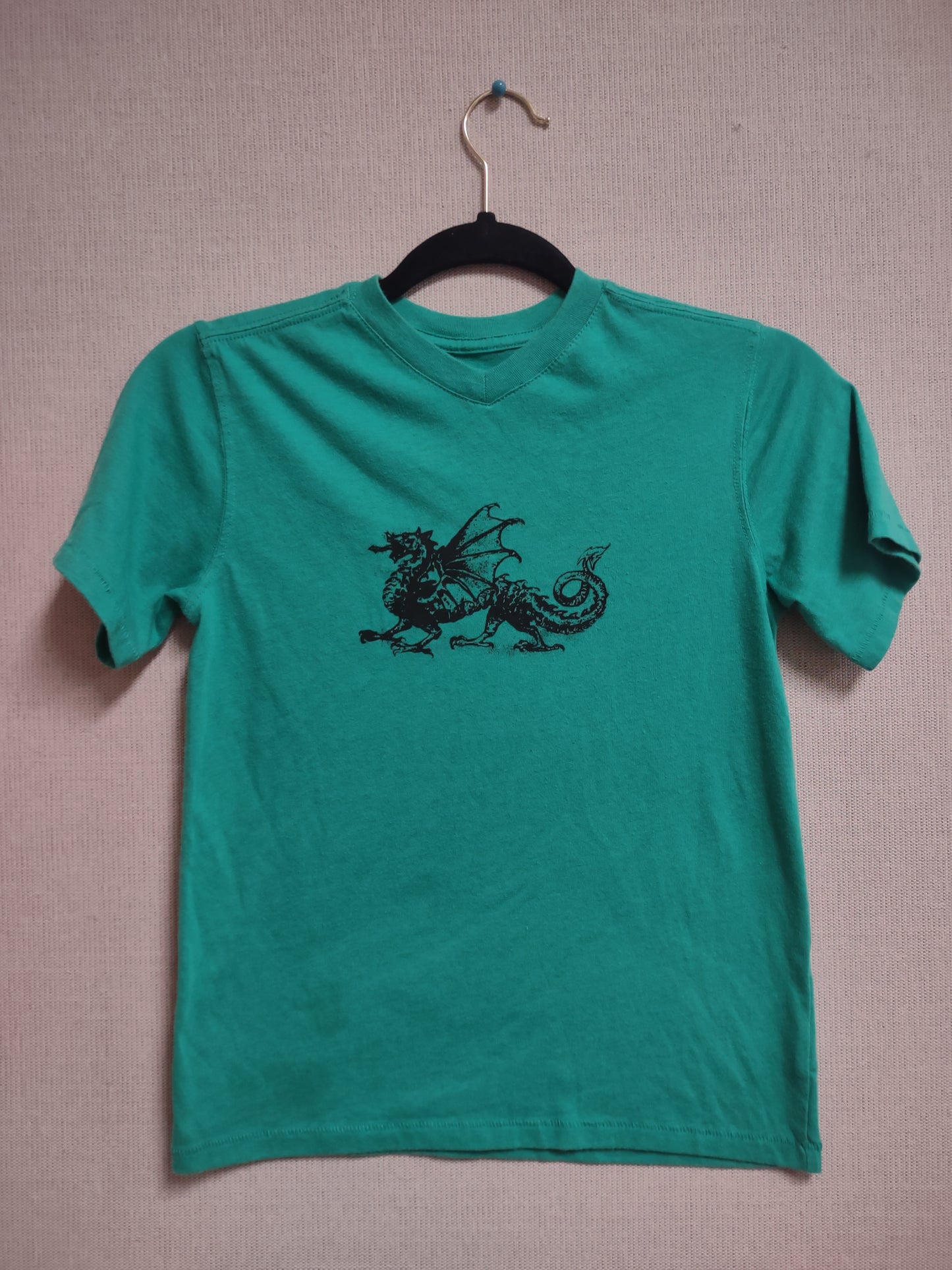 Children's medium dragon shirt