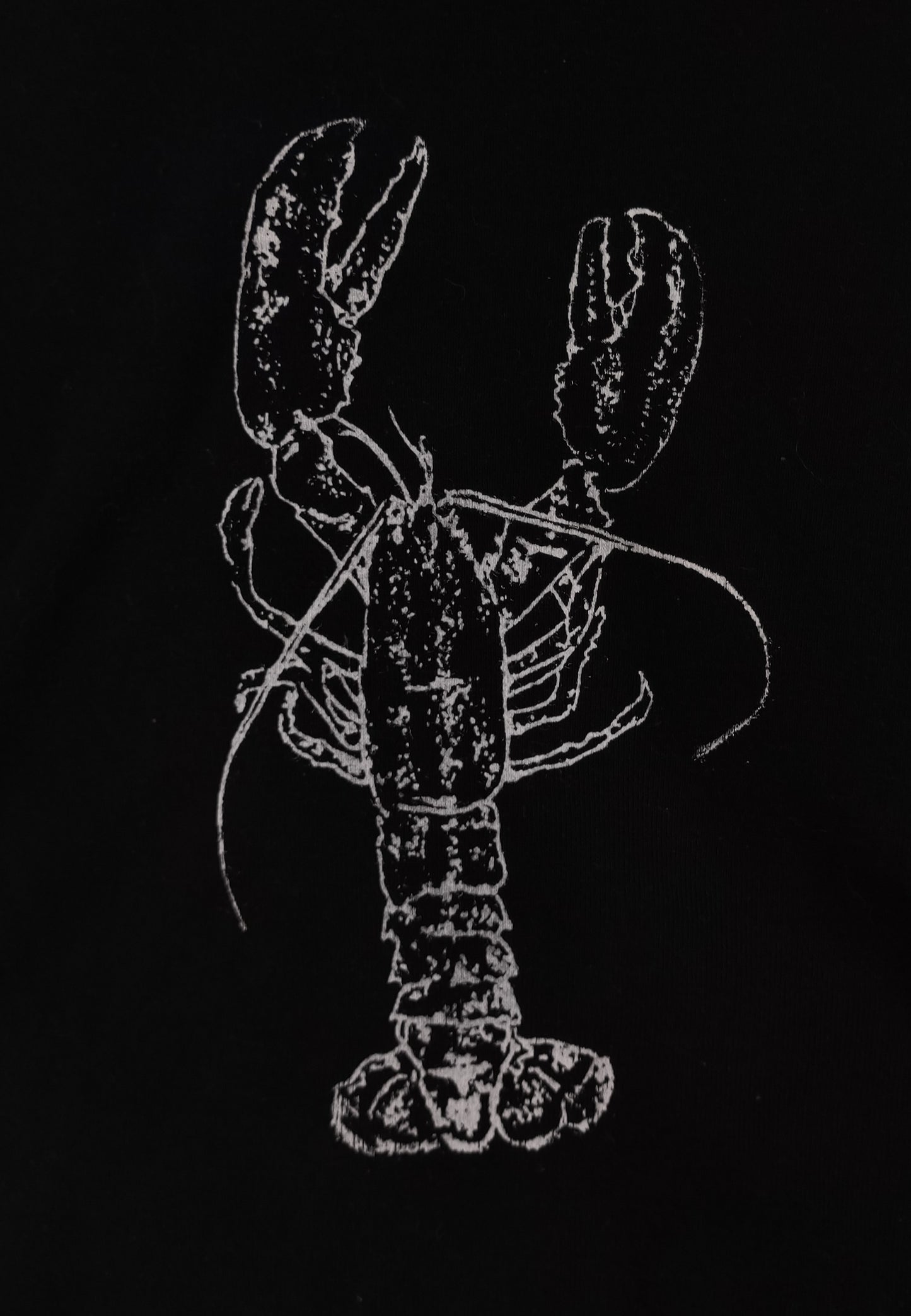 Children's small lobster shirt