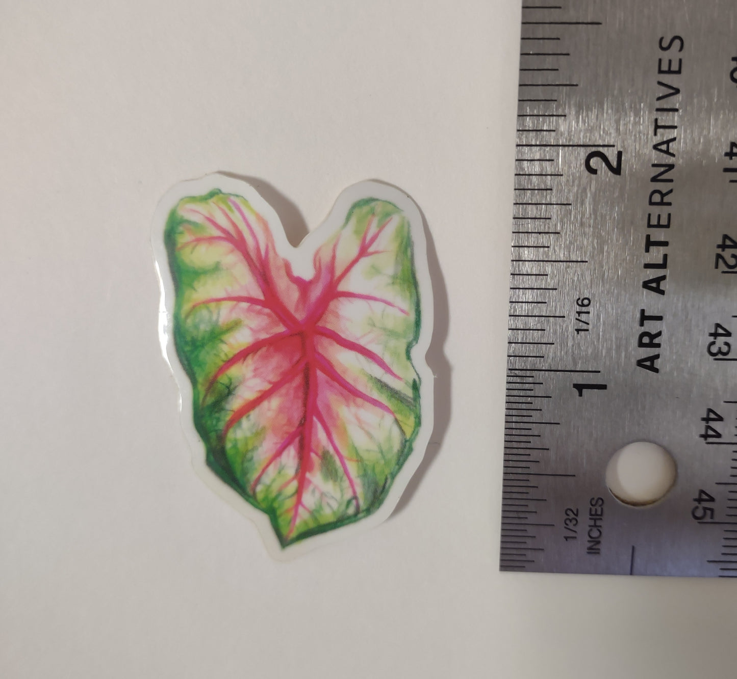 Caladium sticker