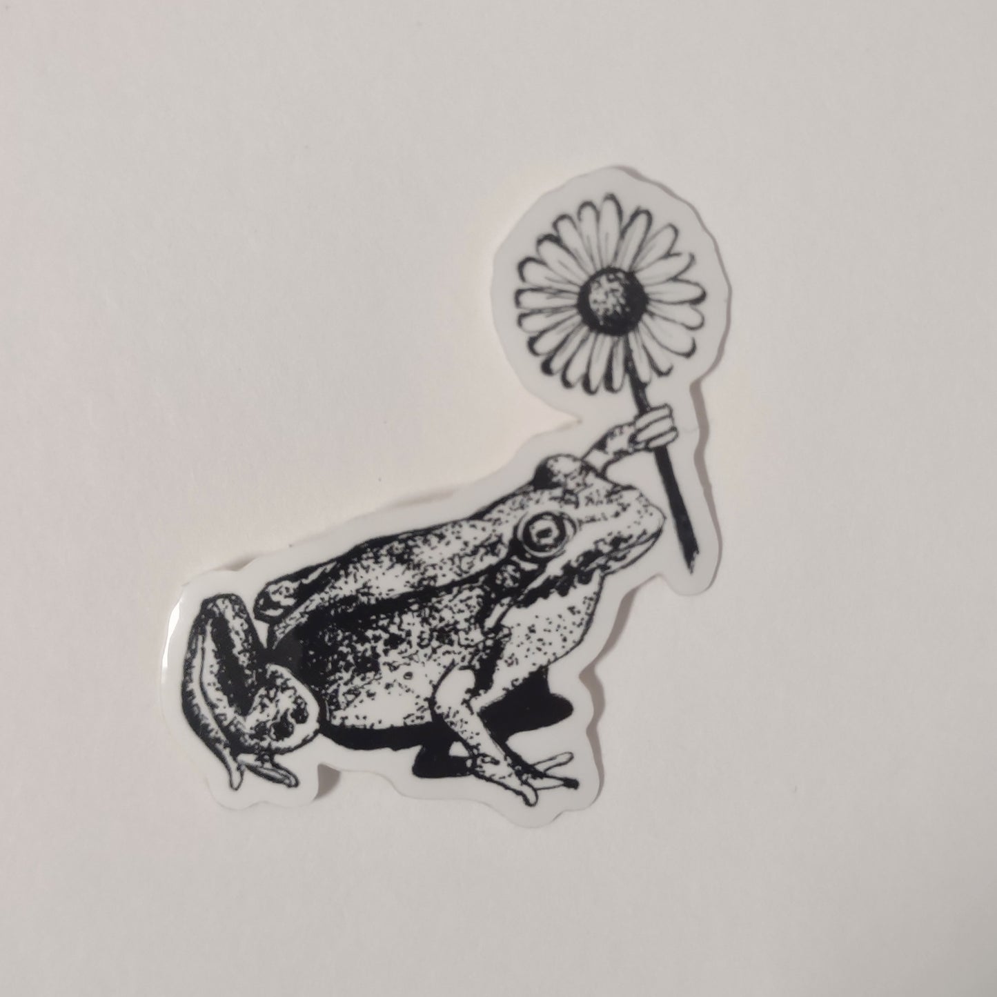 Frog with flower sticker