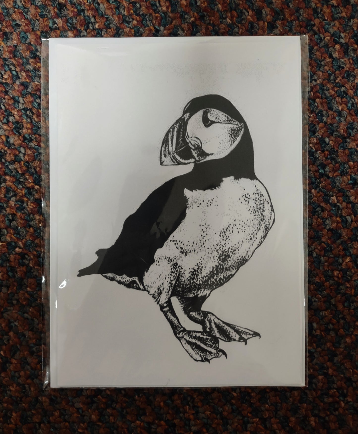 Birds cardpack