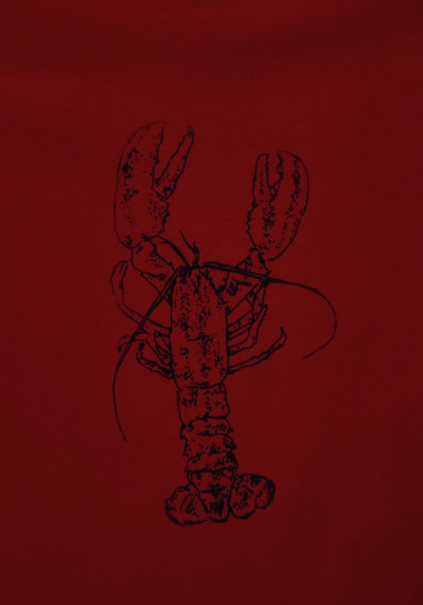 children's medium lobster shirt