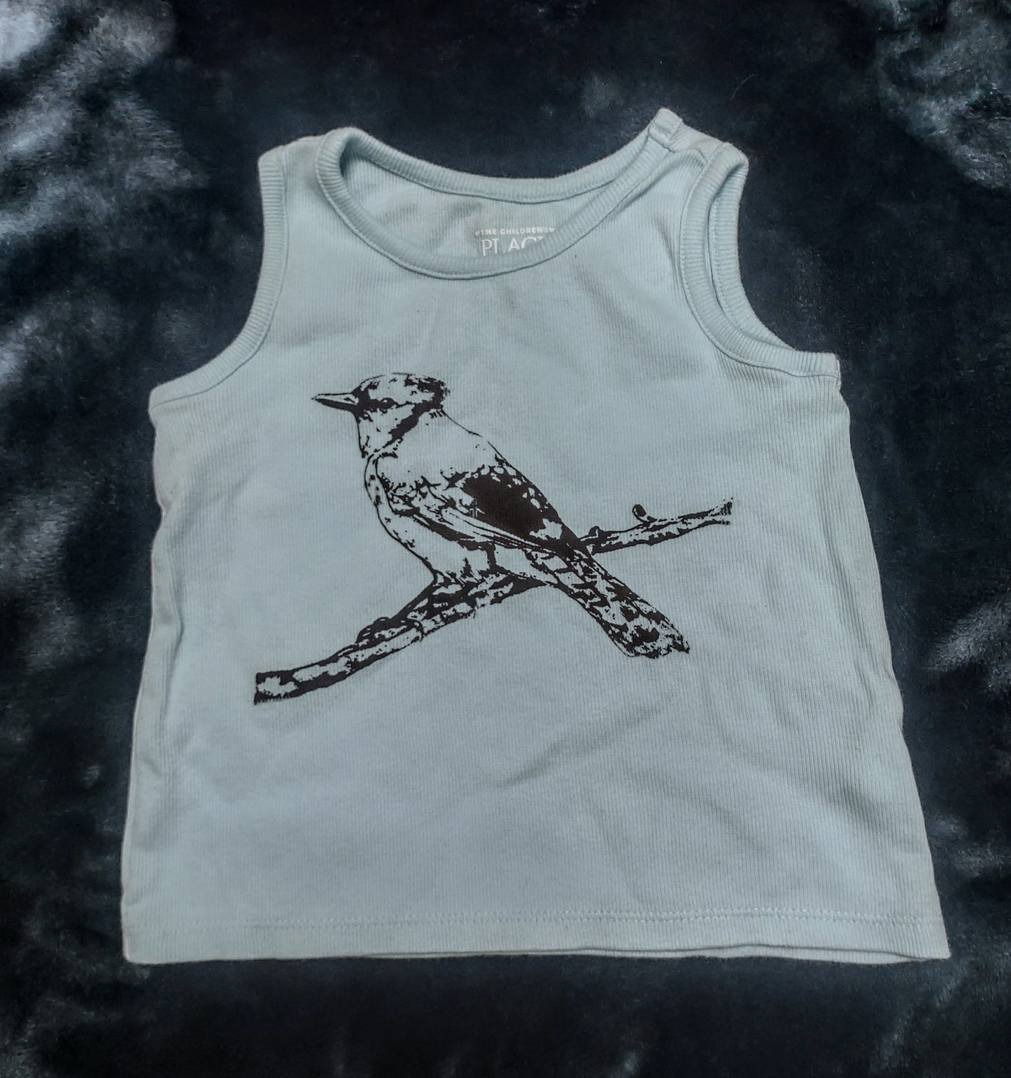 Children's bluejay tank top (2T)