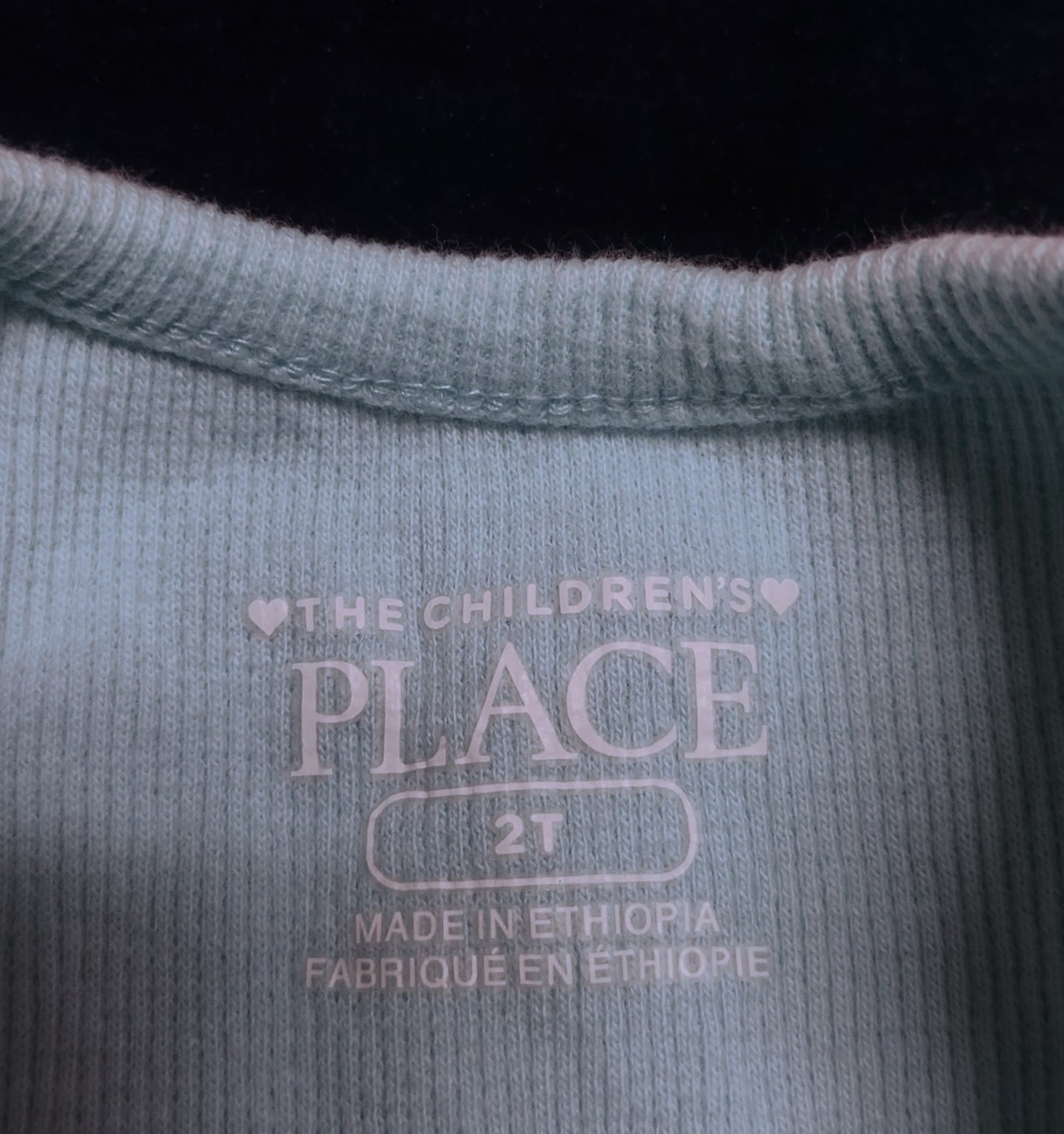 Children's bluejay tank top (2T)