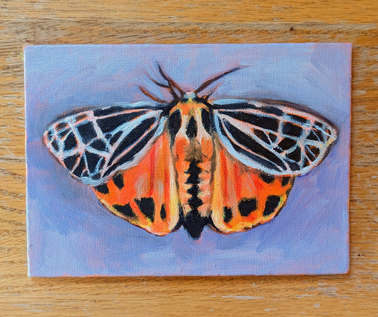 Original Oil Butterfly Painting