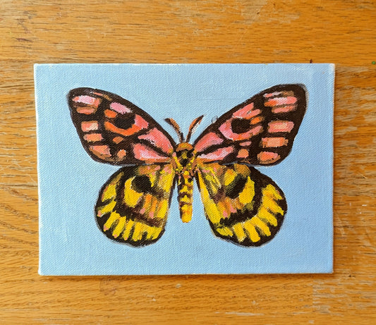 Original Acrylic Butterfly Painting