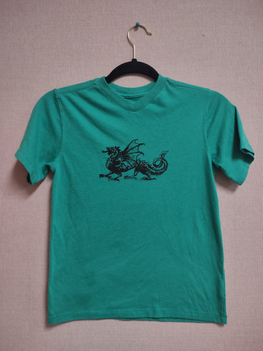 Children's medium dragon shirt