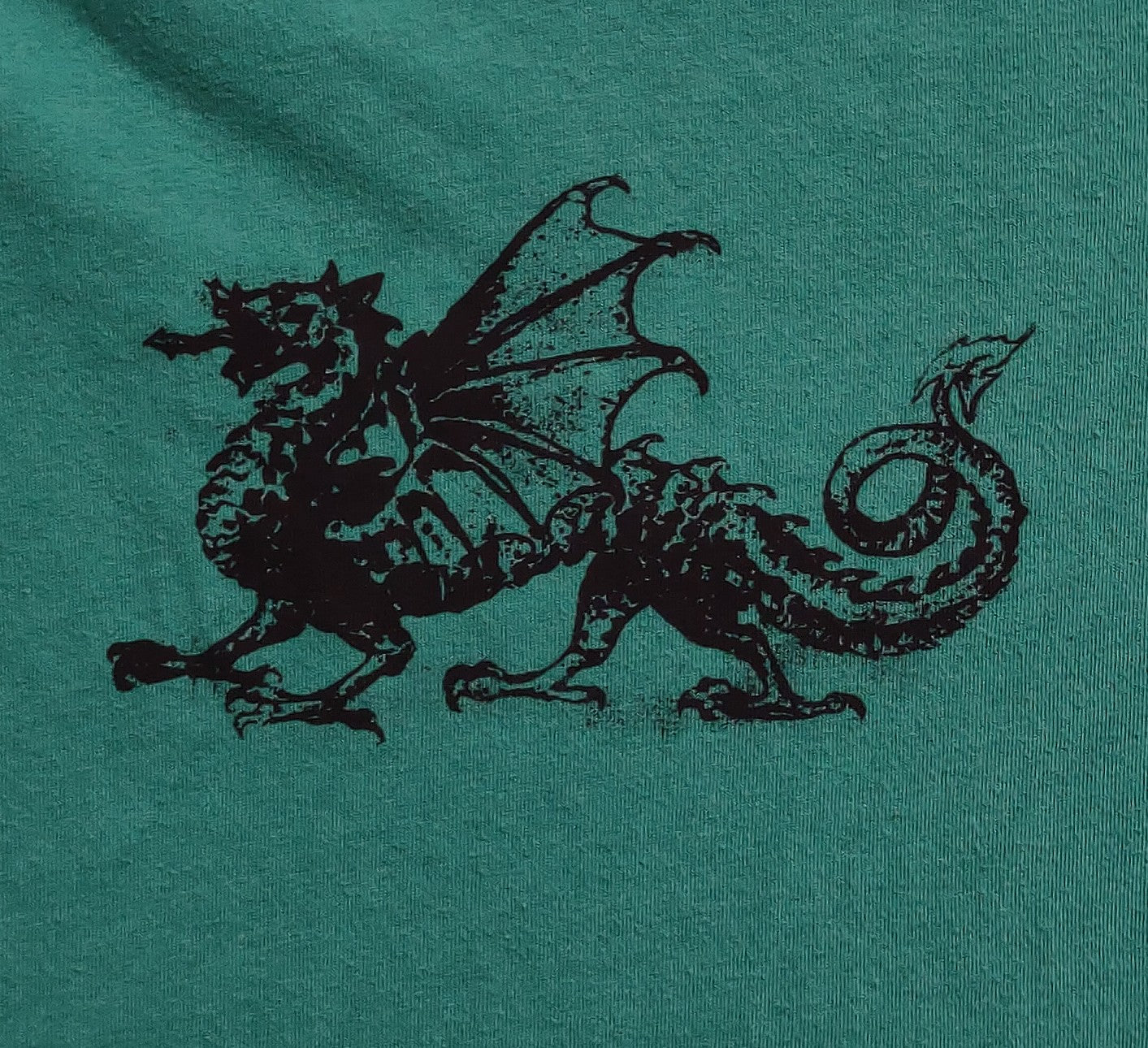 Children's medium dragon shirt