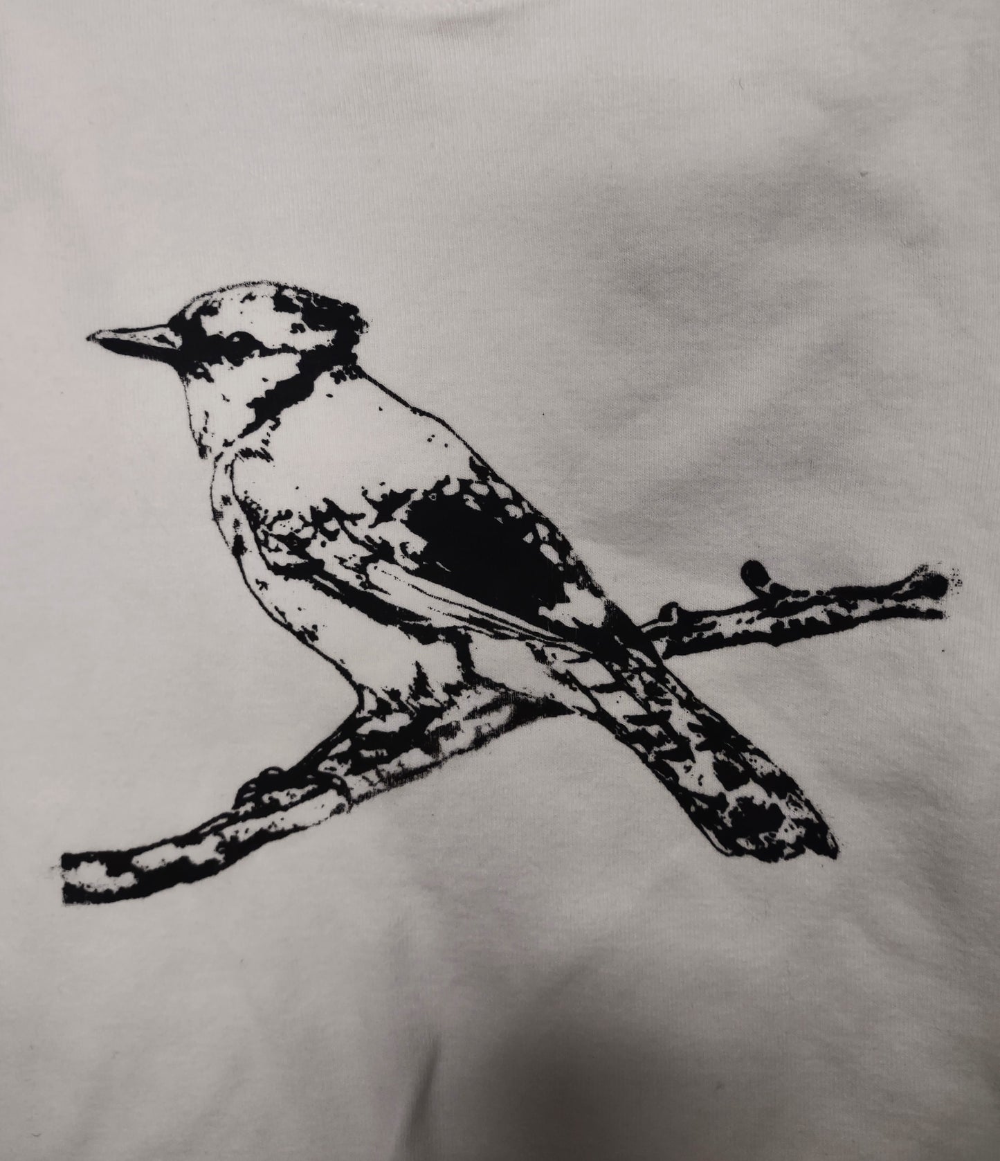 Children's small blue jay shirt