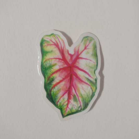Caladium sticker