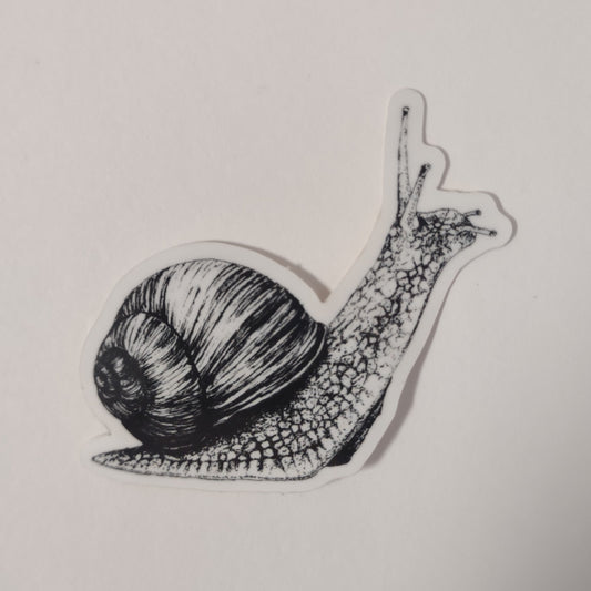 Snail sticker