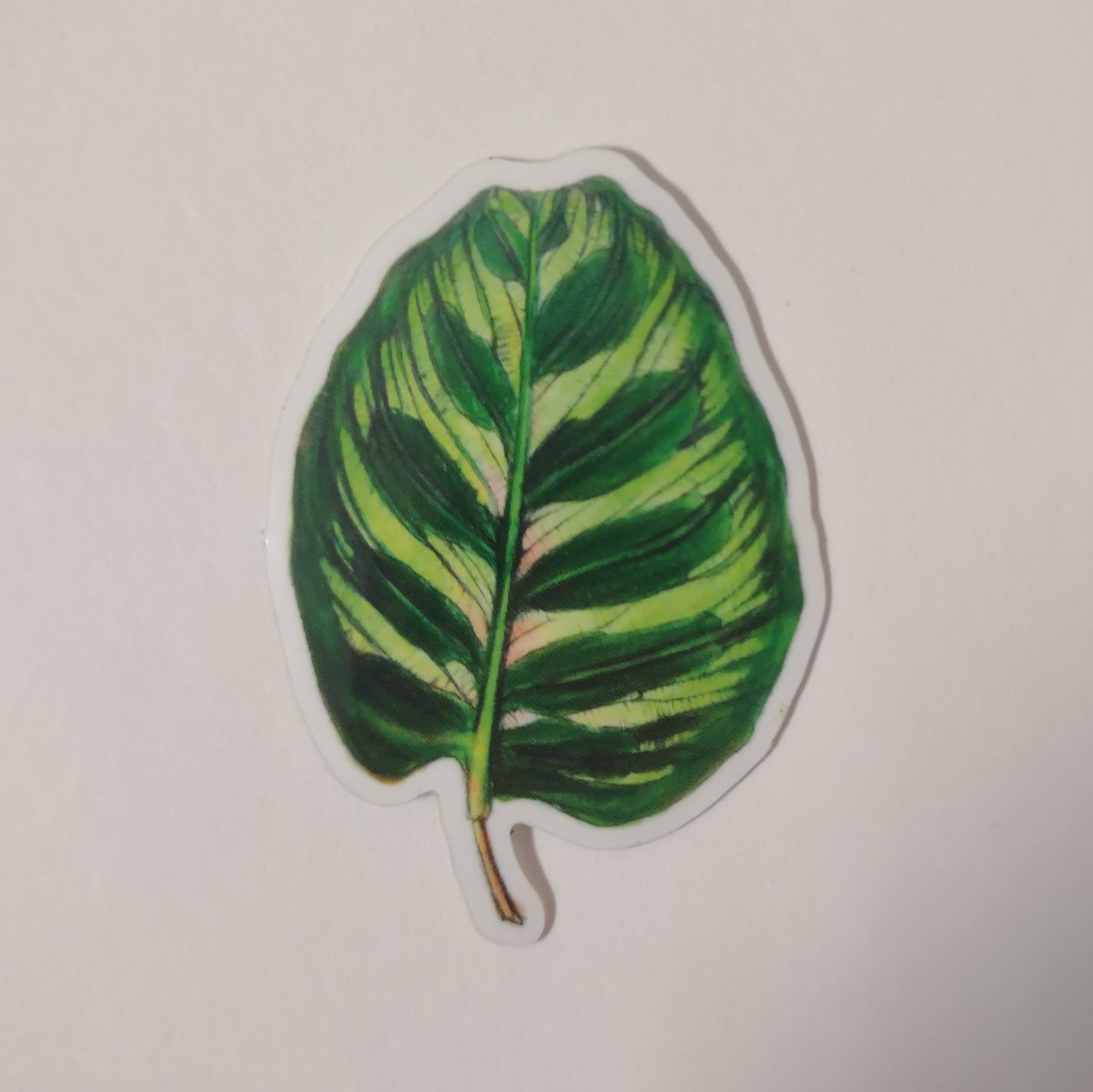 Makoyana sticker