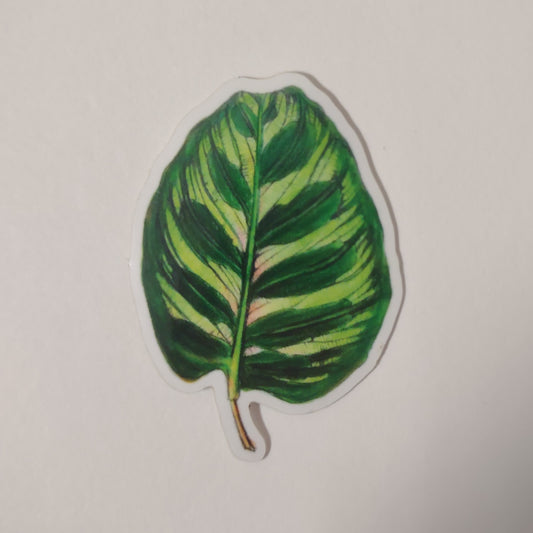 Makoyana sticker