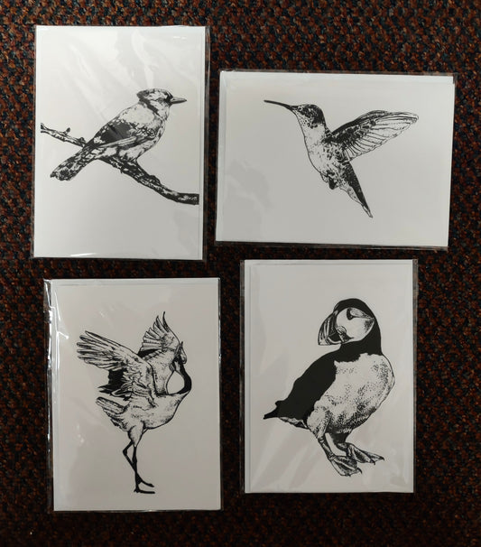 Birds cardpack