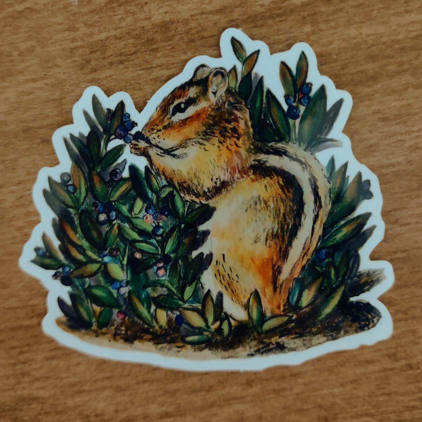 Chipmunk sticker