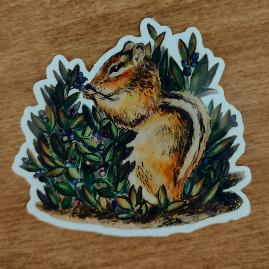 Chipmunk sticker
