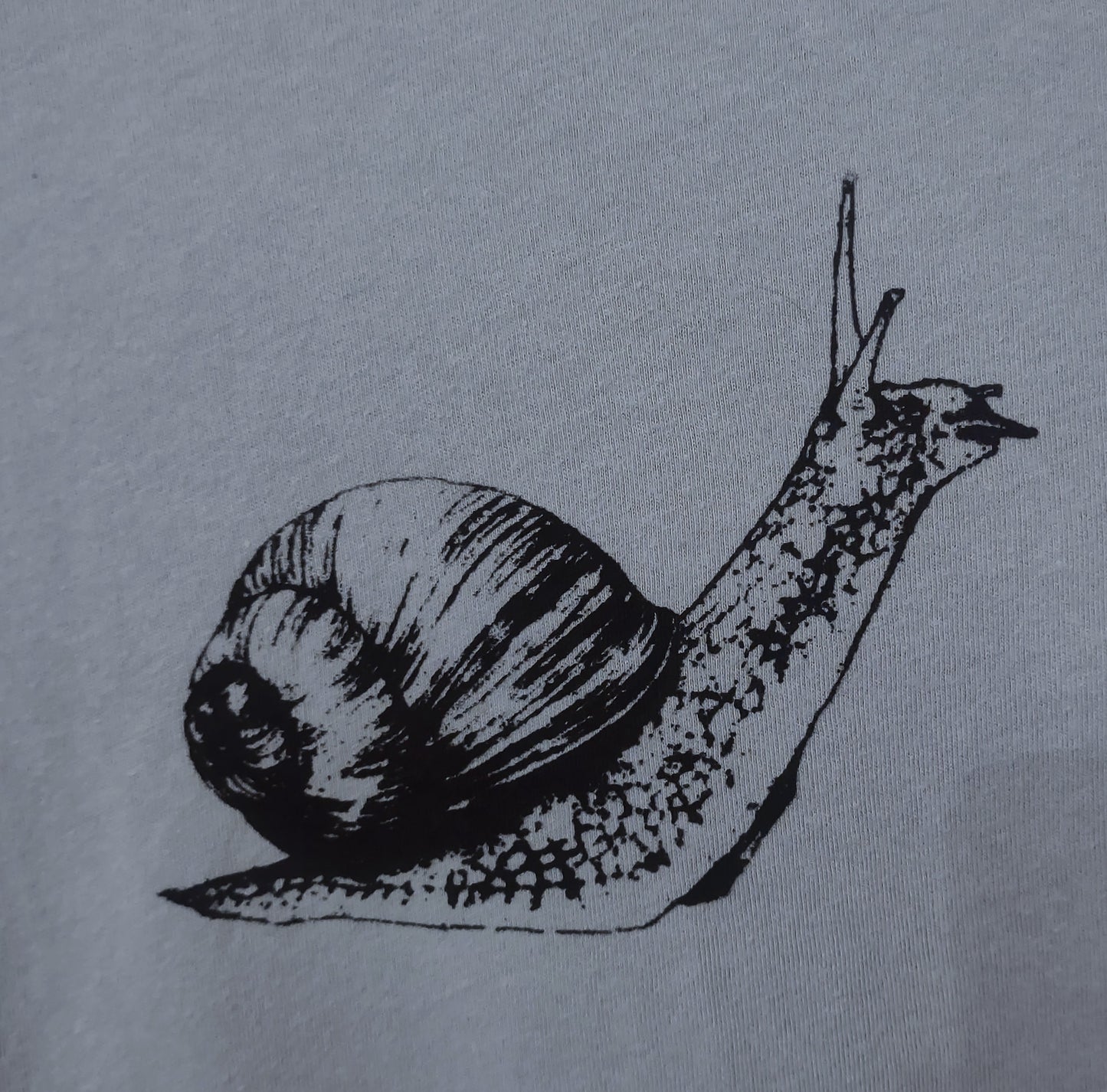 Womens medium snail shirt