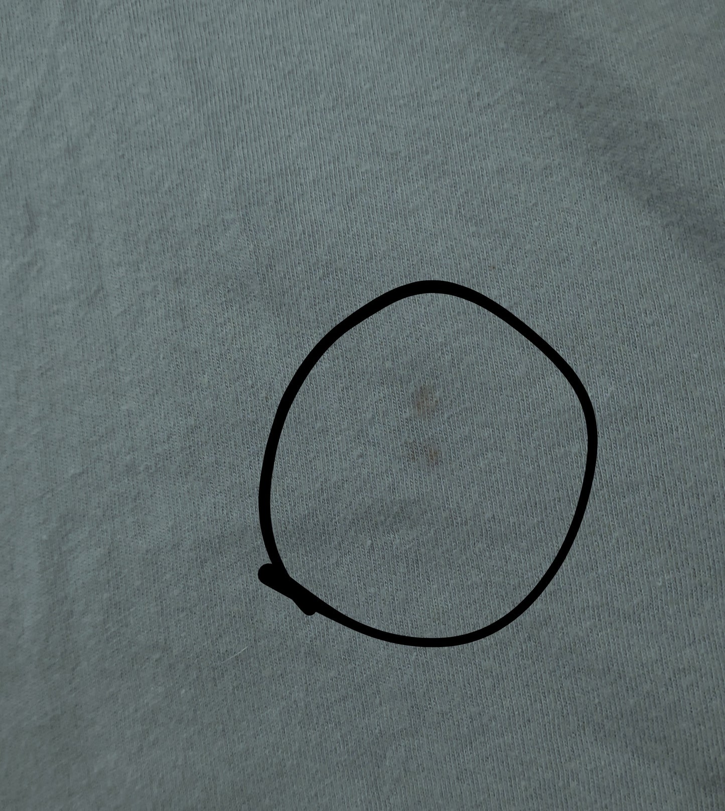 Womens medium snail shirt