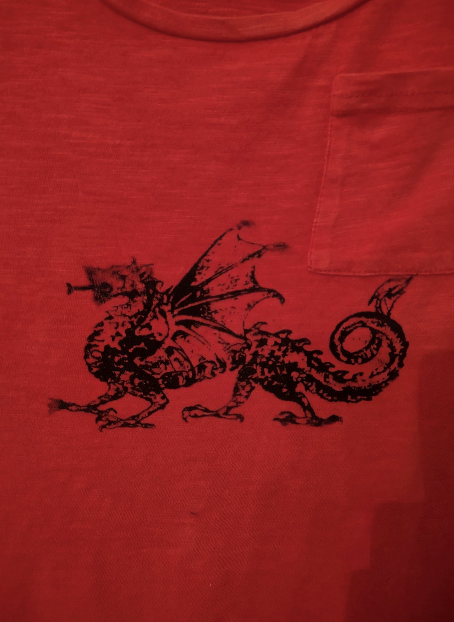 women's small dragon shirt