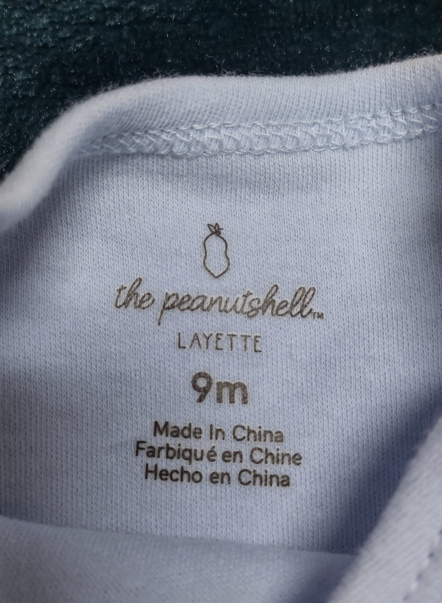 Bluejay Onesie